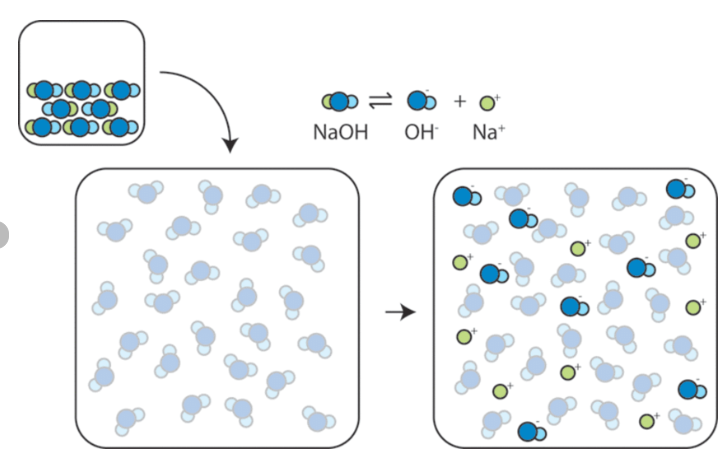 Solid NaOH consists of Na + and OH -ions packed into a crystalline lattice